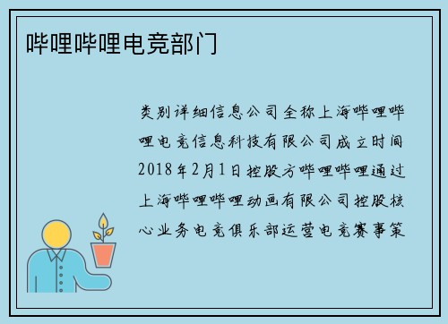 哔哩哔哩电竞部门